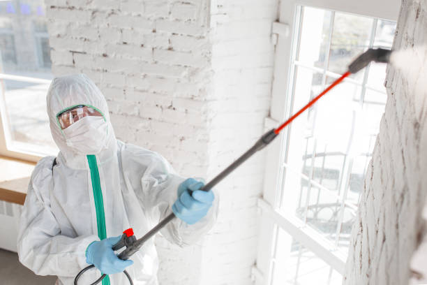 Best Mold Prevention Services  in Port Carbon, PA