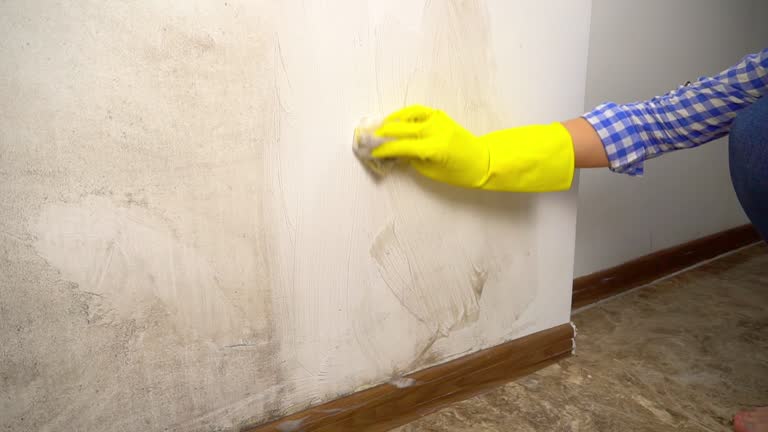 Best Airborne Mold Testing  in Port Carbon, PA