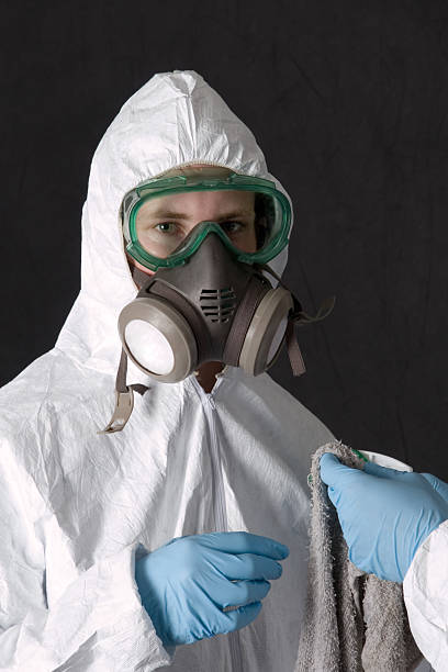 Best Mold-Related Health Consultation  in Port Carbon, PA